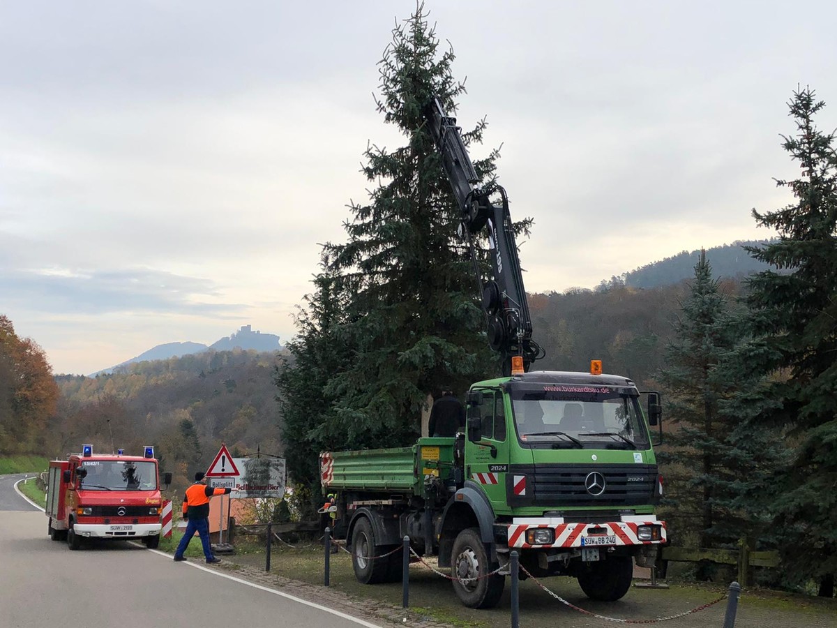 Firma Baum Gräfenhausen