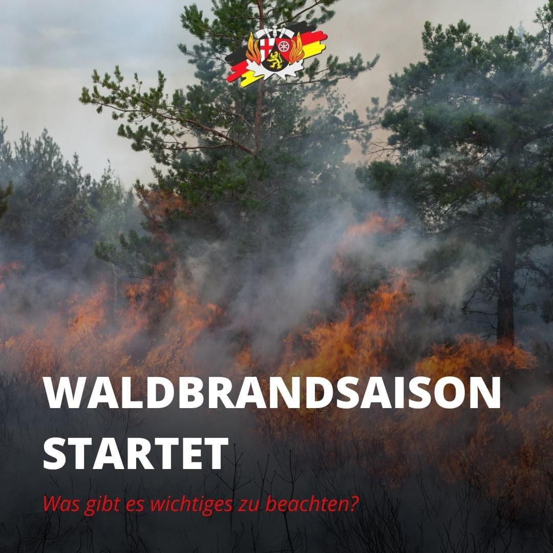 Waldbrand