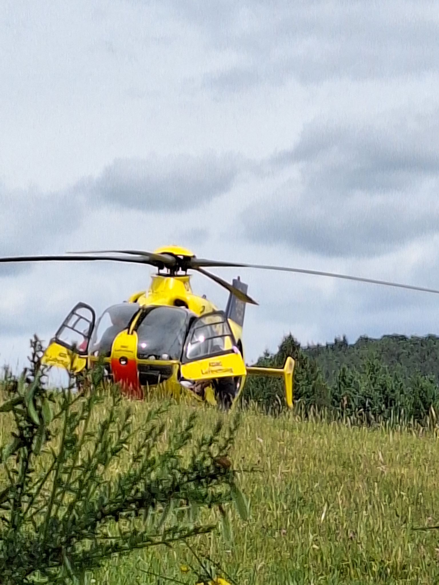 Einsatz 20250524 1 1