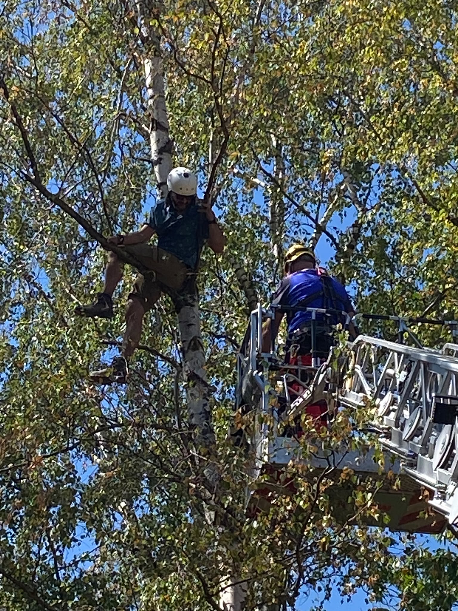 PHOTO 2026 08 14 16 46 05