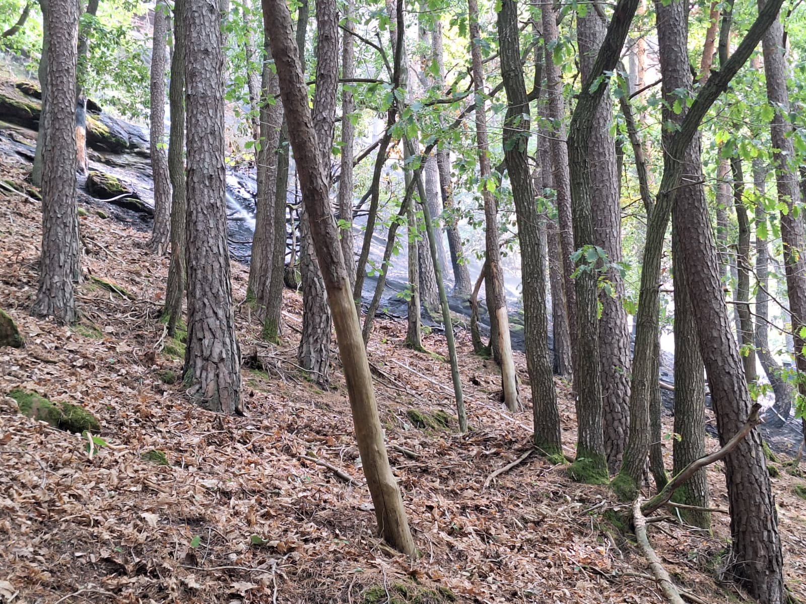 PHOTO 2026 08 16 17 19 17