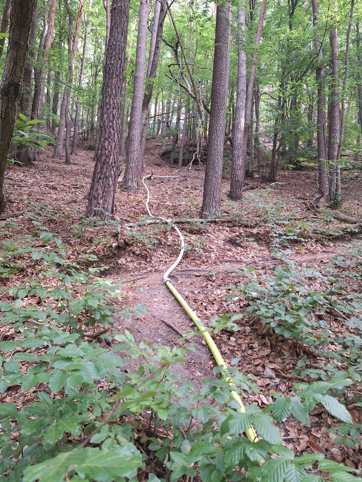 PHOTO 2026 08 16 17 19 19