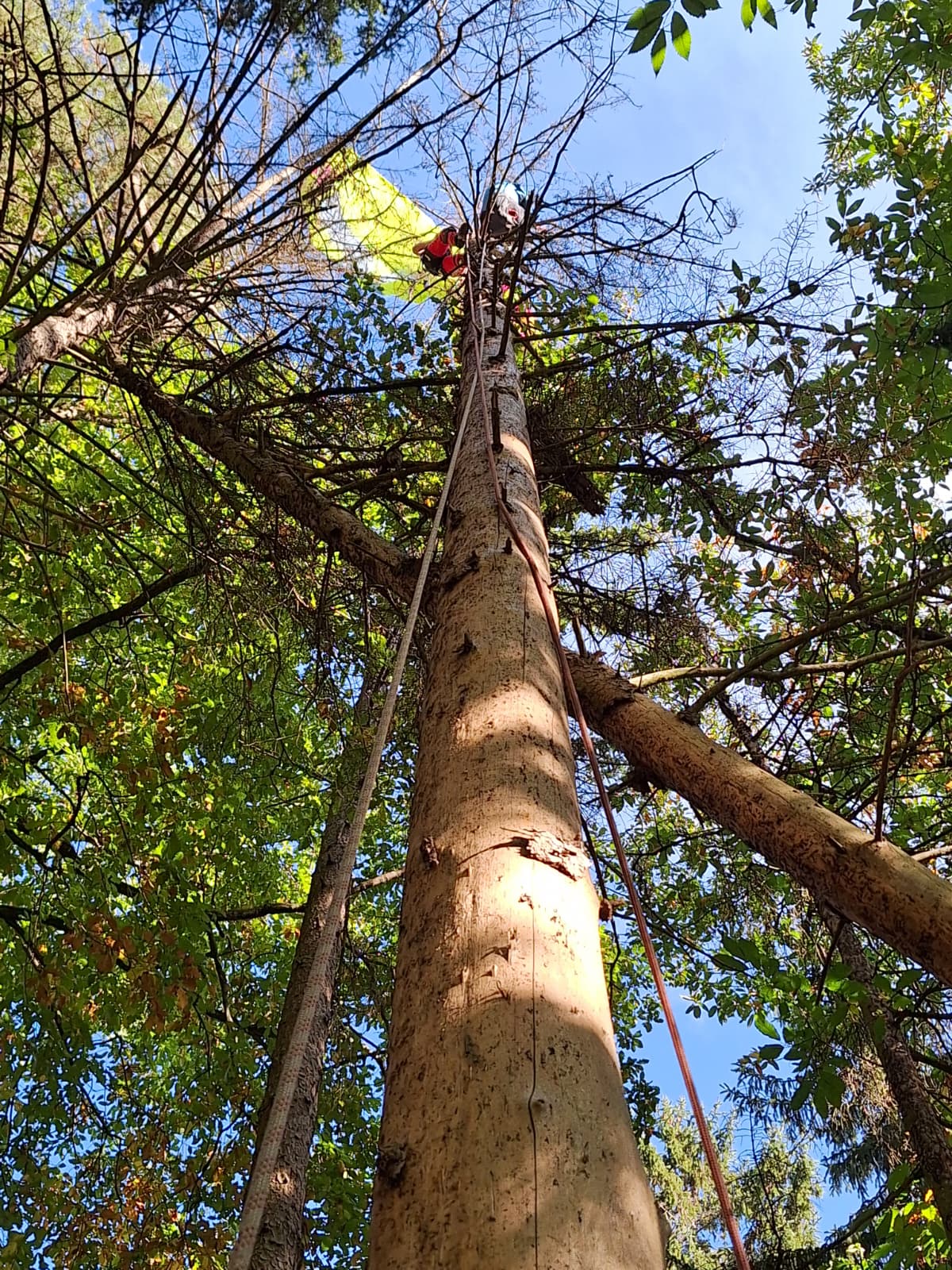 PHOTO 2026 10 04 13 22 54